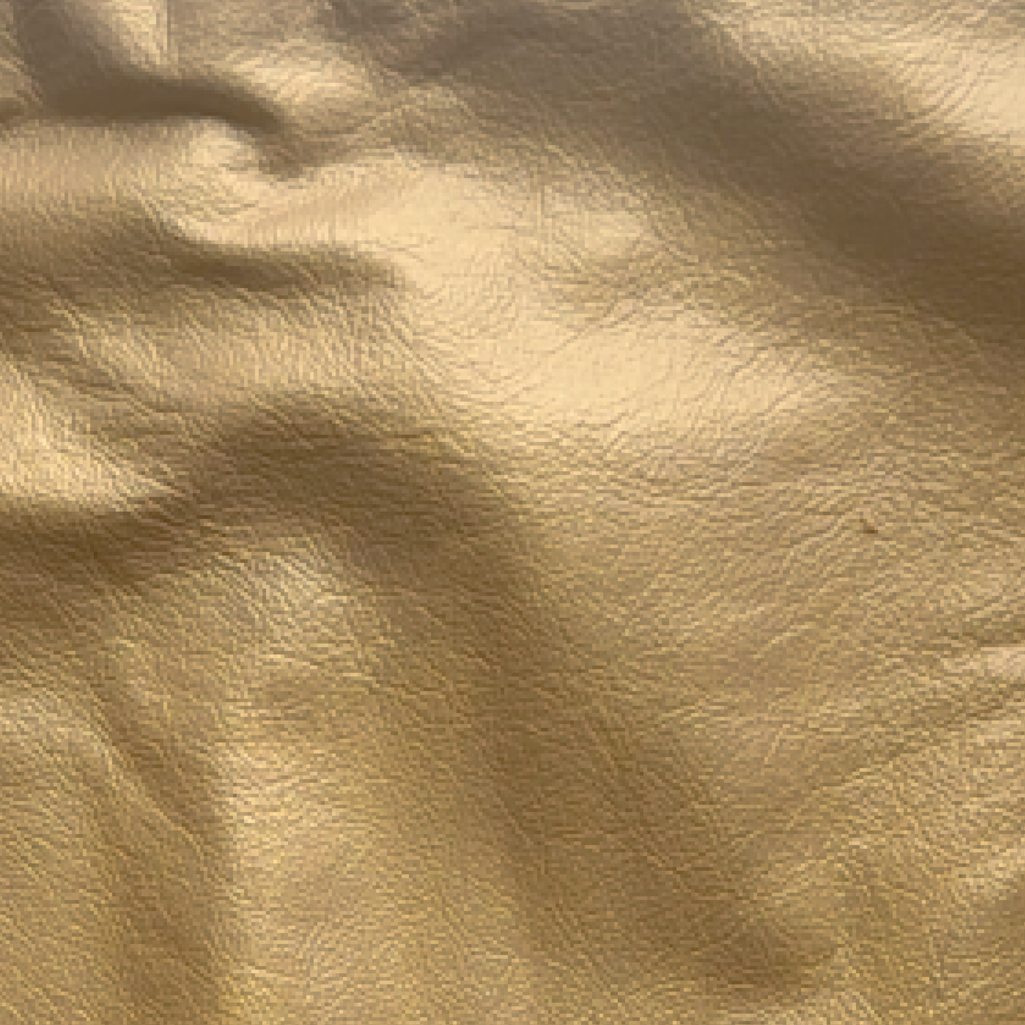 Golden Cushion