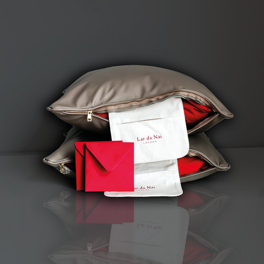 Lar da Nai leather cushions 