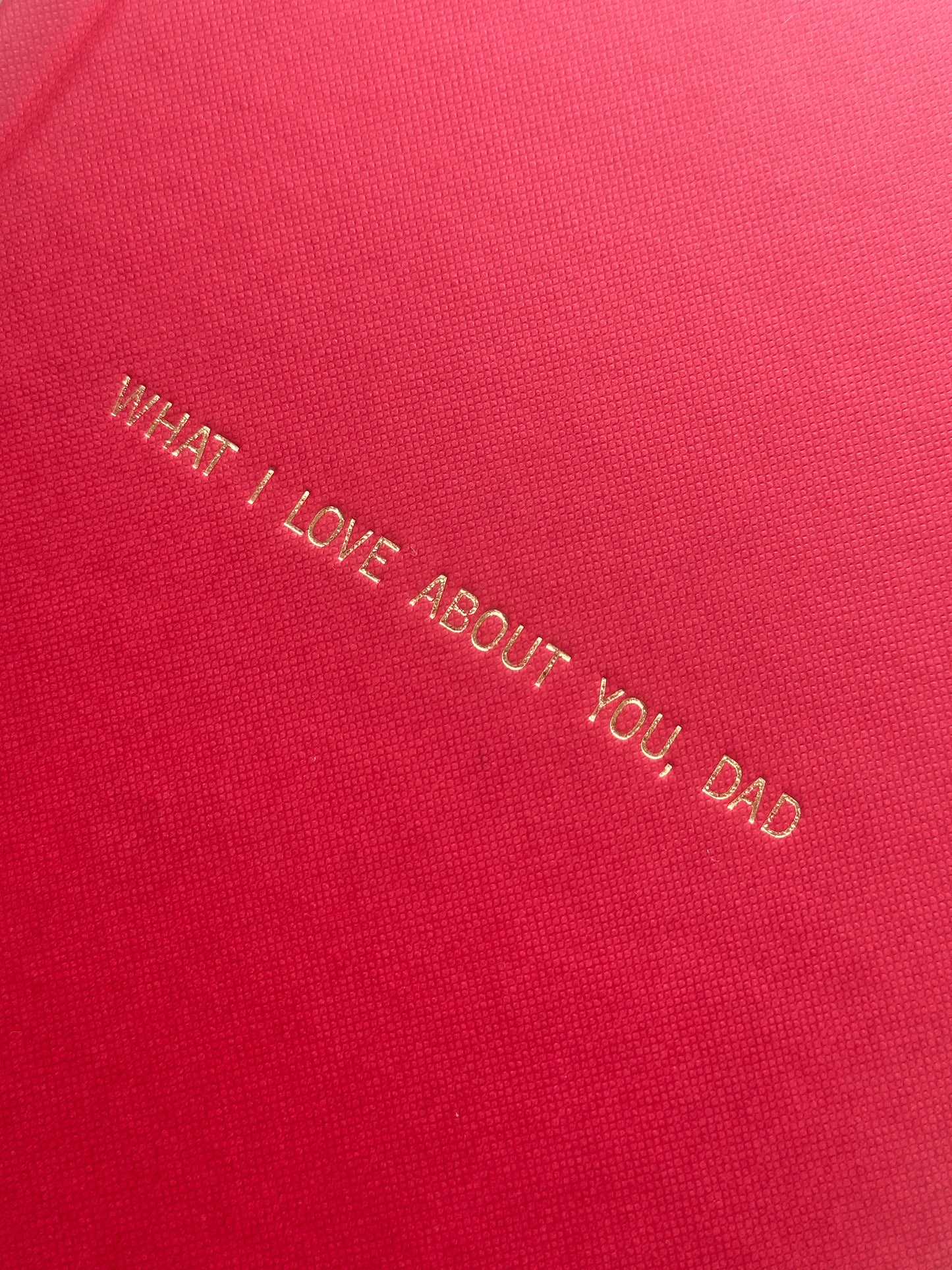 What I Love About You, Dad